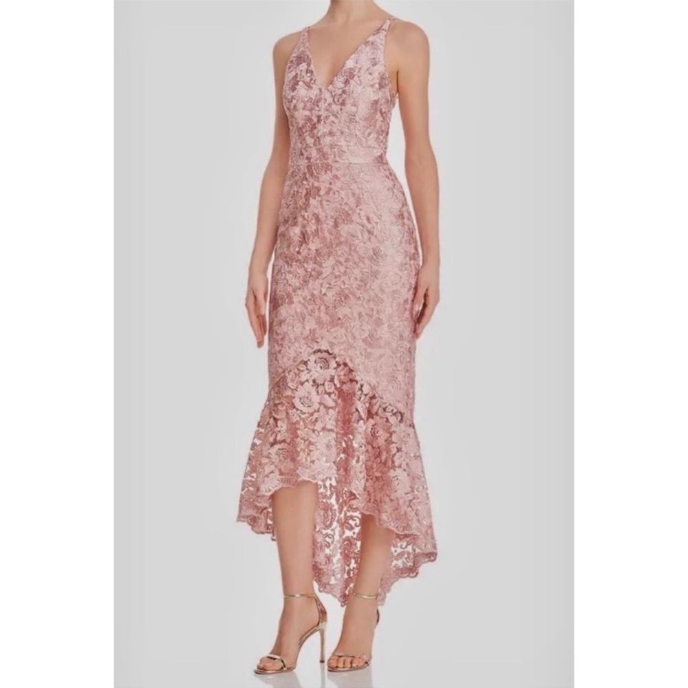 Avery G Pink Shimmery Floral-Embroidered Lace Dress  NWT Size 8